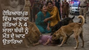 ਹੋਸ਼ਿਆਰਪੁਰ ਆਵਾਰਾ ਕੁੱਤੇ ਹਮਲਾ